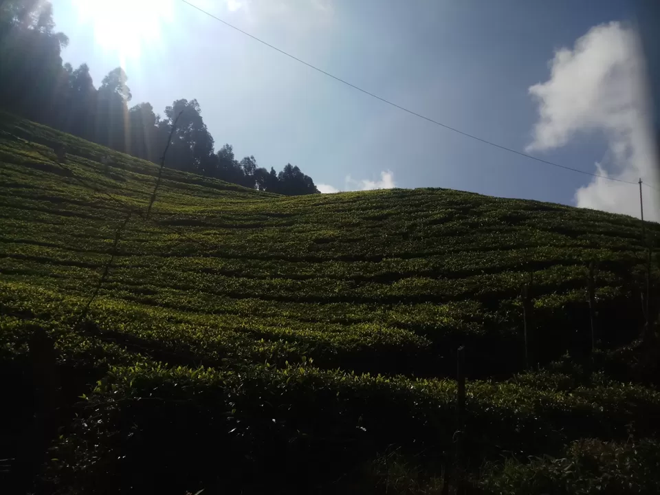 Photo of Love Hill stations? Haven't visited Ooty yet? by Rohit Rajpal