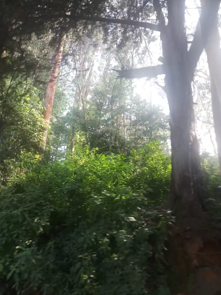 Photo of Love Hill stations? Haven't visited Ooty yet? by Rohit Rajpal