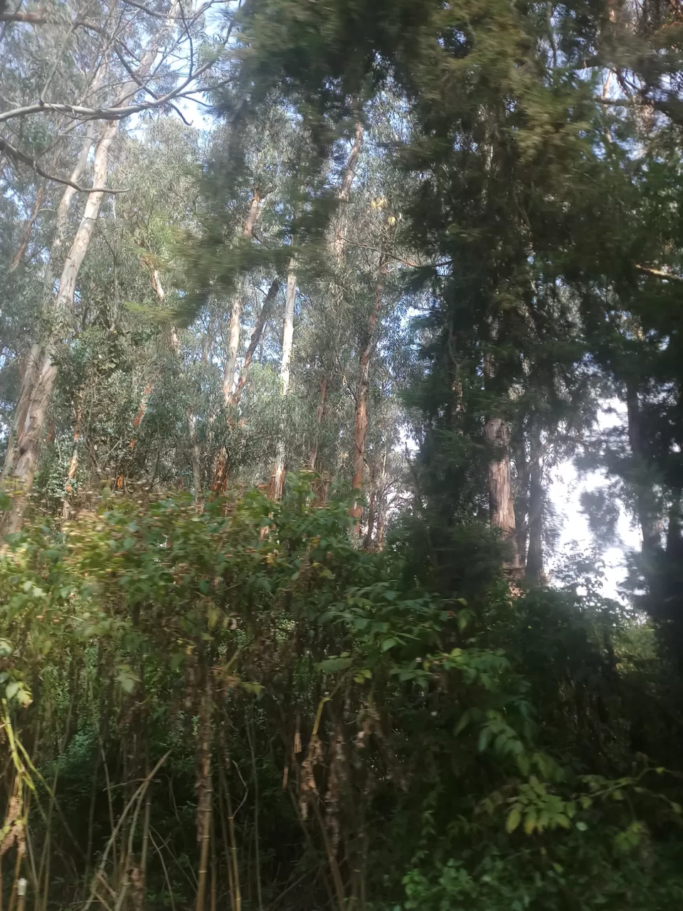 Photo of Love Hill stations? Haven't visited Ooty yet? by Rohit Rajpal