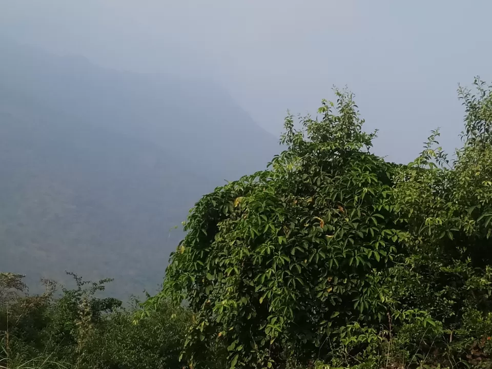 Photo of Love Hill stations? Haven't visited Ooty yet? by Rohit Rajpal