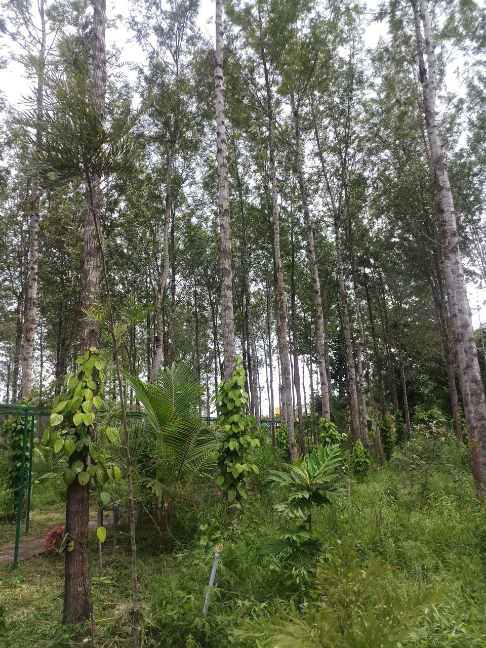 Photo of Weekend Getaway at Scotland of India 14/21 by Rohit Rajpal