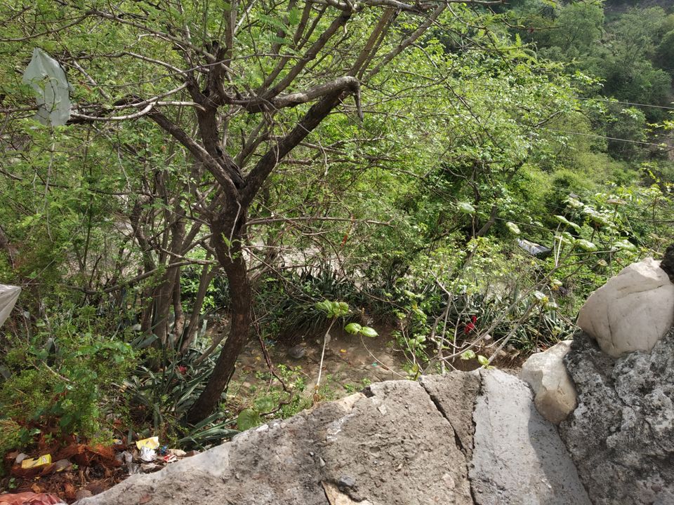 Photo of A Trip To Haridwar and Rishikesh by Little Blogger N.V.K.