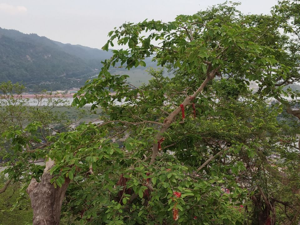 Photo of A Trip To Haridwar and Rishikesh by Little Blogger N.V.K.