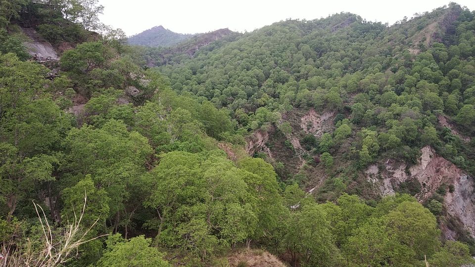 Photo of A Trip To Haridwar and Rishikesh by Little Blogger N.V.K.