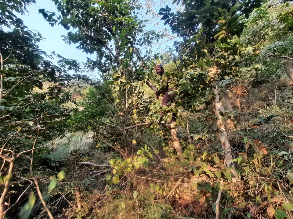 Photo of Gindpur Maloun Road by Musafir Nizam