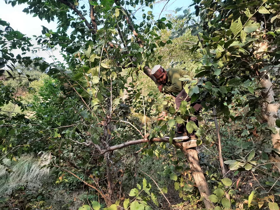 Photo of Gindpur Maloun Road by Musafir Nizam
