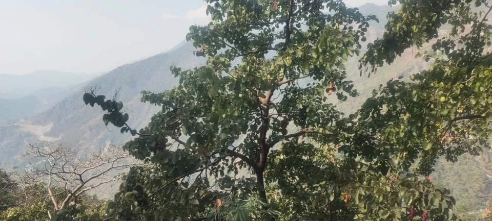Photo of Mussoorie by Musafir Nizam