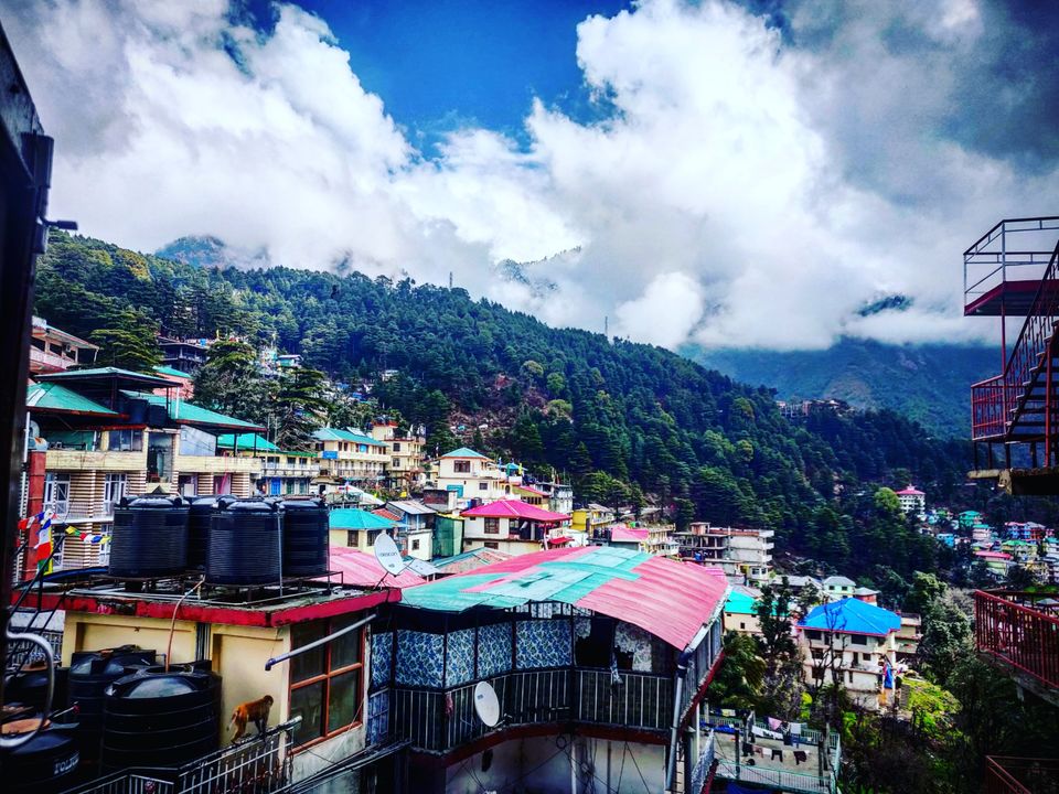 Photo of A trippy trip , Mcleodganj - Triund by shubh shukla