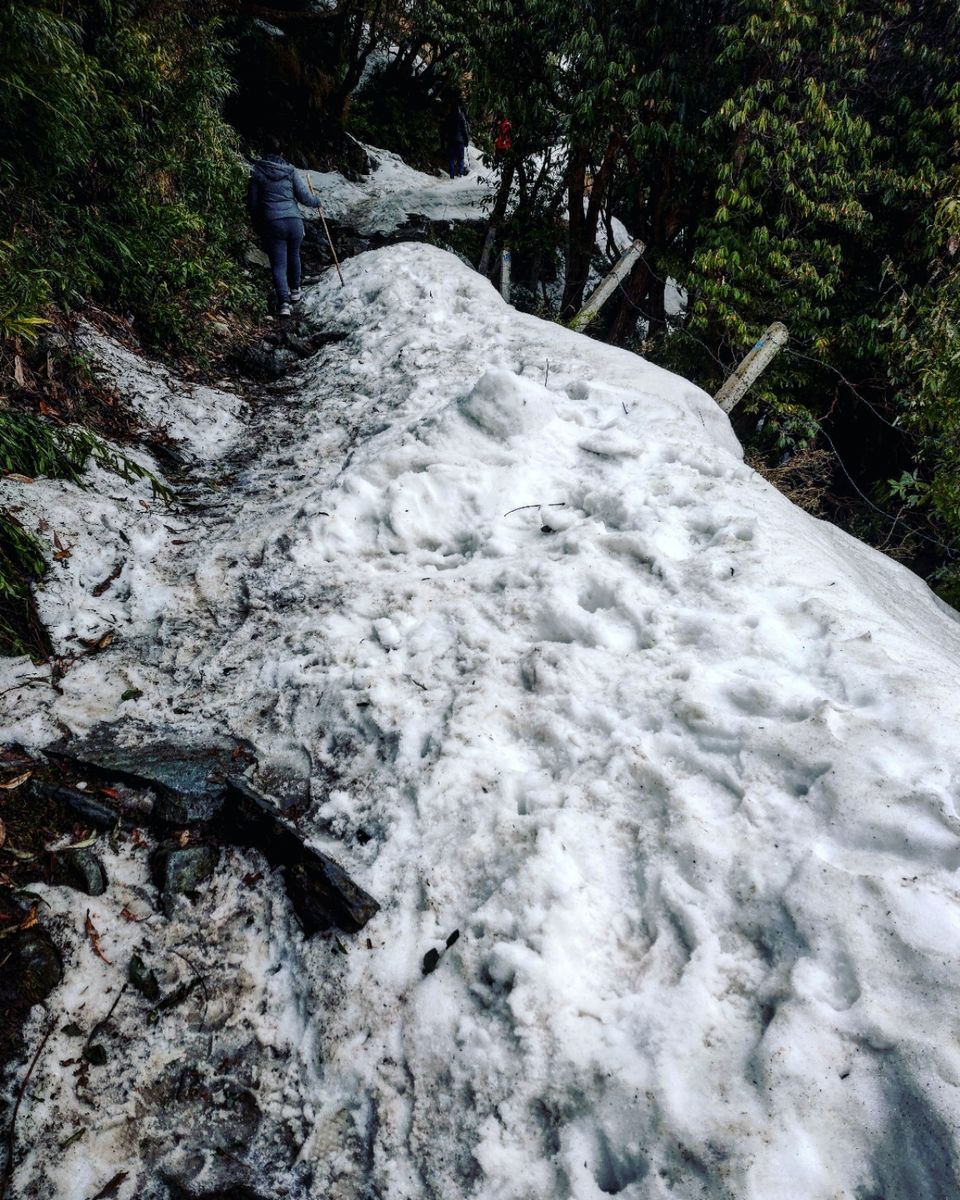 Photo of A trippy trip , Mcleodganj - Triund by shubh shukla