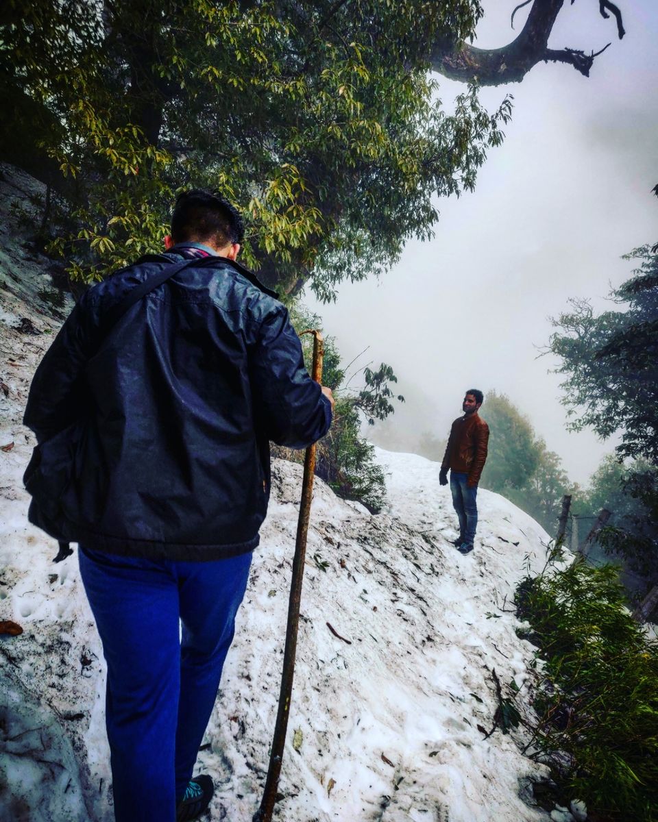 Photo of A trippy trip , Mcleodganj - Triund by shubh shukla