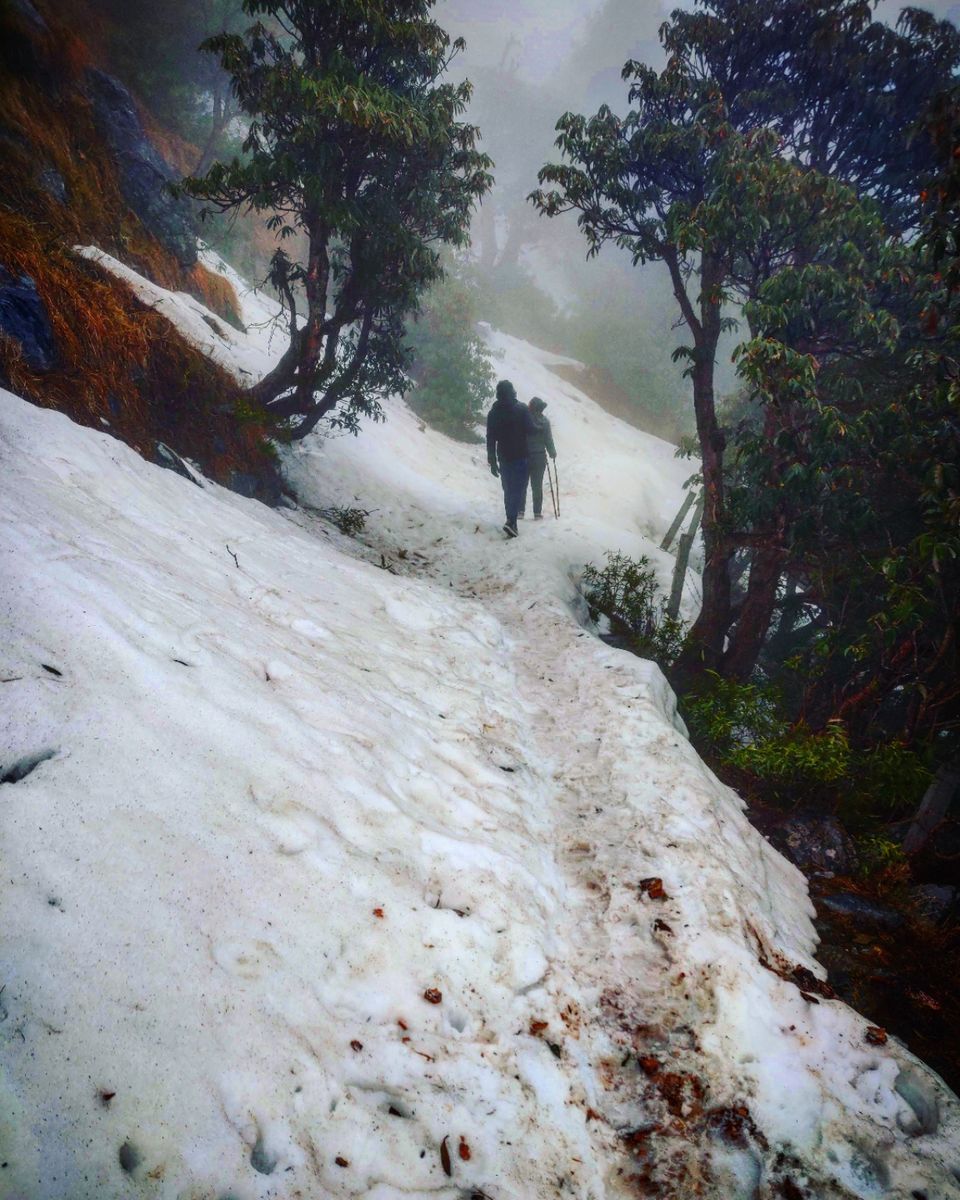 Photo of A trippy trip , Mcleodganj - Triund by shubh shukla