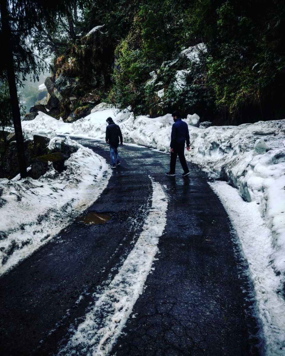 Photo of A trippy trip , Mcleodganj - Triund by shubh shukla
