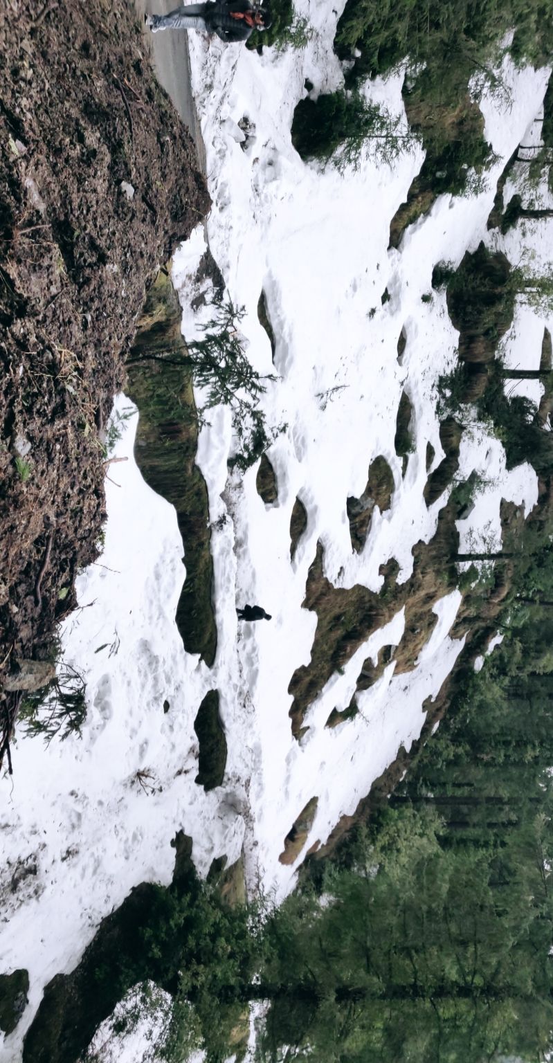 Photo of A trippy trip , Mcleodganj - Triund by shubh shukla