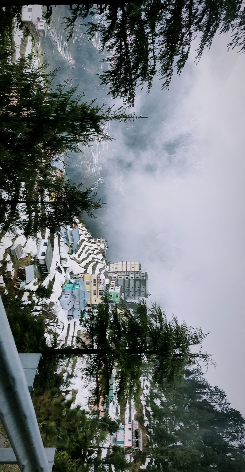 Photo of A trippy trip , Mcleodganj - Triund by shubh shukla
