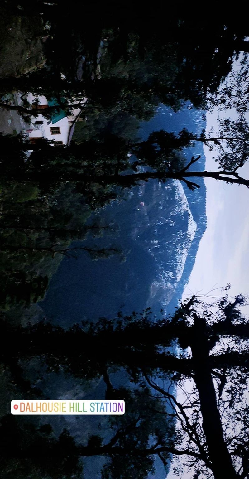 Photo of A trippy trip , Mcleodganj - Triund by shubh shukla