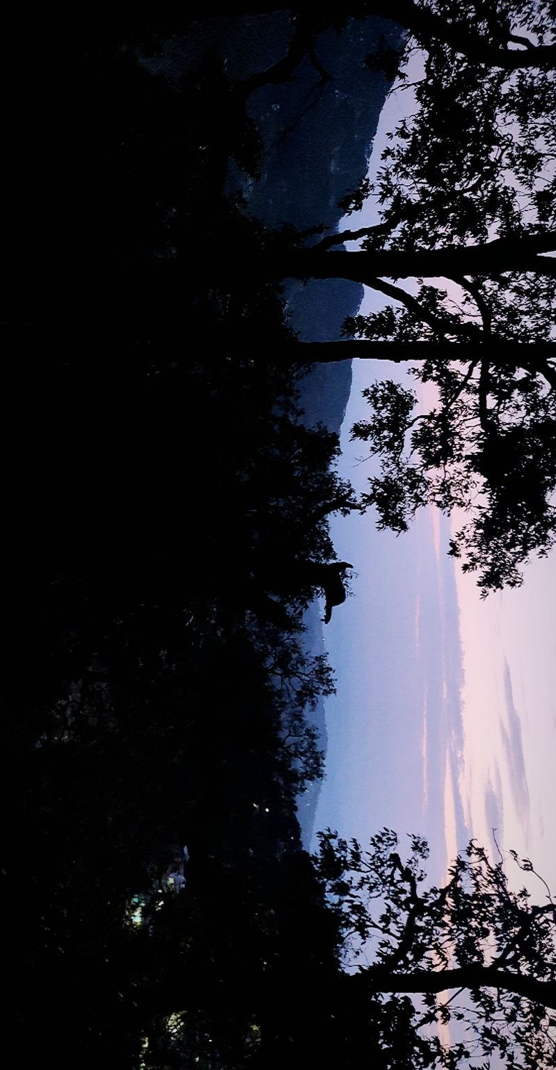 Photo of A trippy trip , Mcleodganj - Triund by shubh shukla