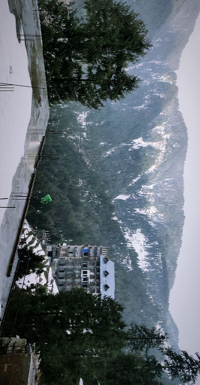 Photo of A trippy trip , Mcleodganj - Triund by shubh shukla