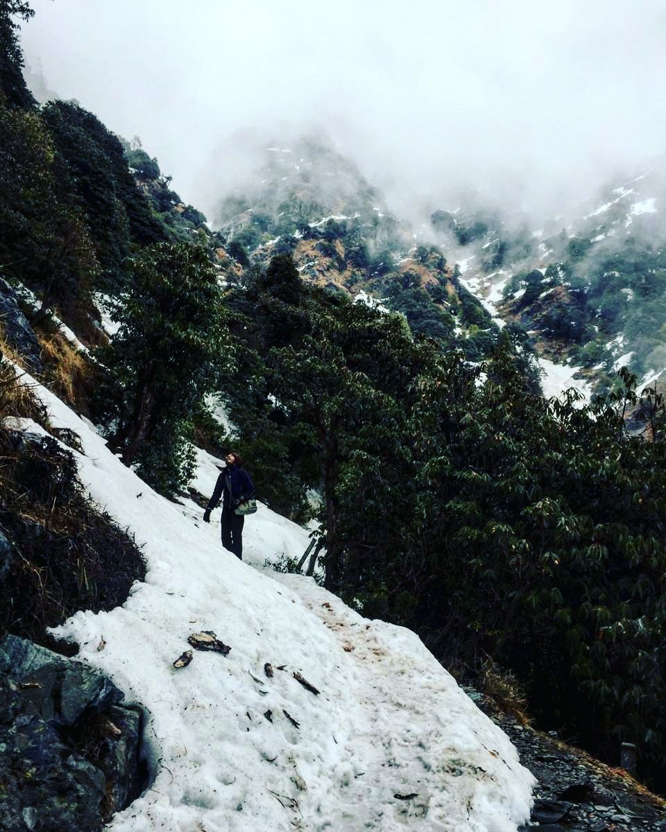 Photo of A trippy trip , Mcleodganj - Triund by shubh shukla