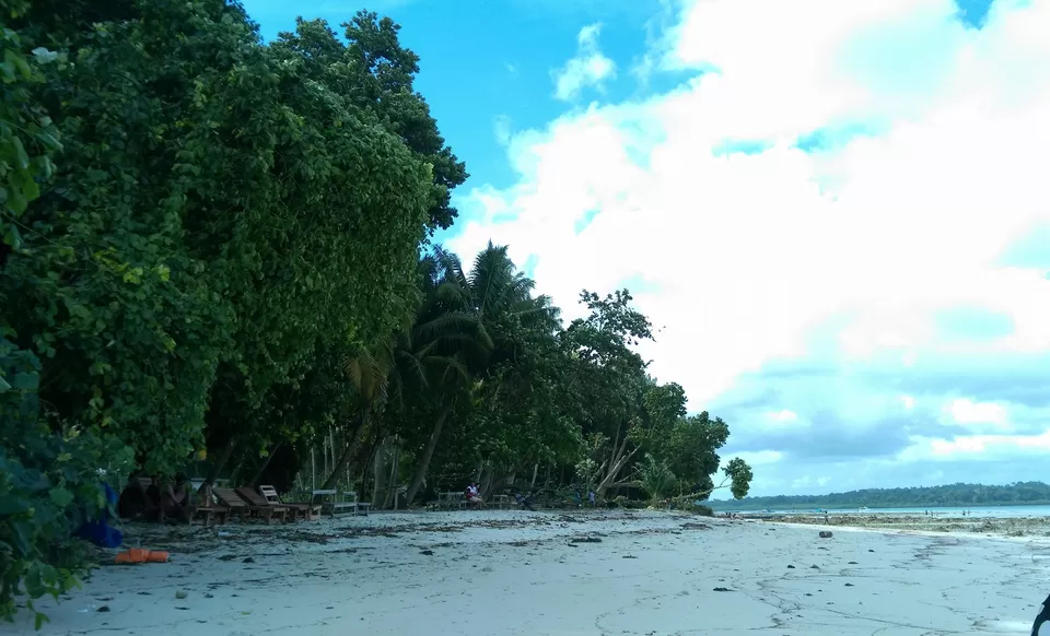 Photo of Island Vinnie's, South Andaman, Andaman and Nicobar Islands, India by Trishnanta