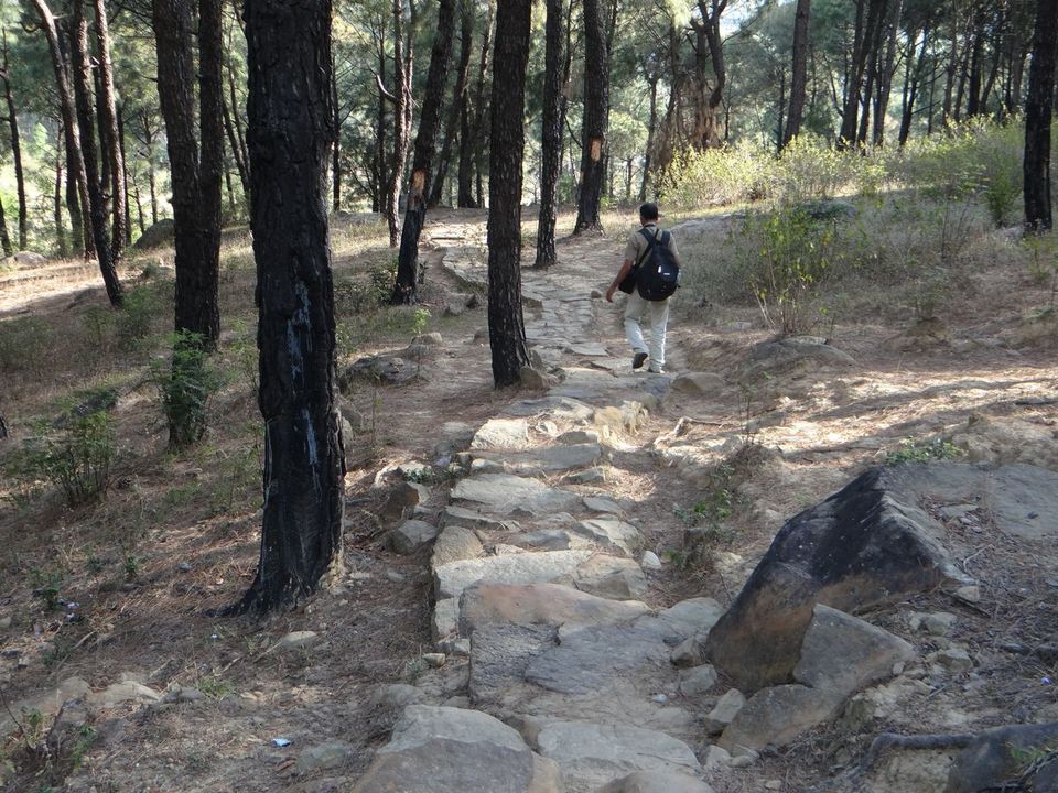 Photo of Aadi Himani Chamunda Sidh Peeth, Chandar Bhan, Himachal Pradesh, India by Natwar Lal Bhargawa