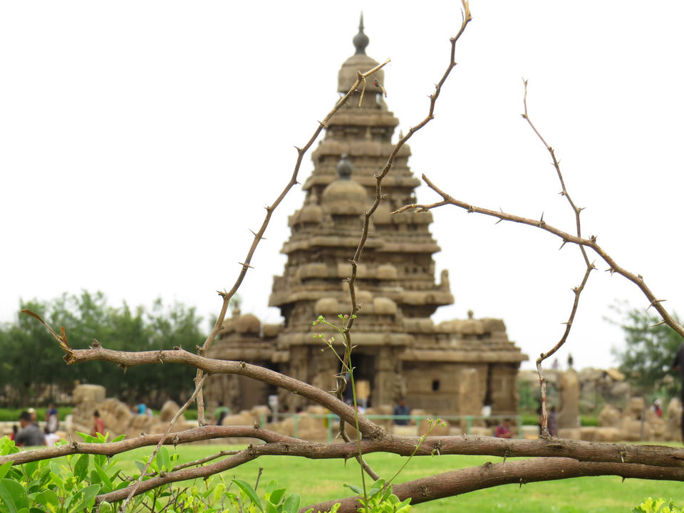 Photo of Mahabalipuram, Tamil Nadu, India by Bidisha Mahanty