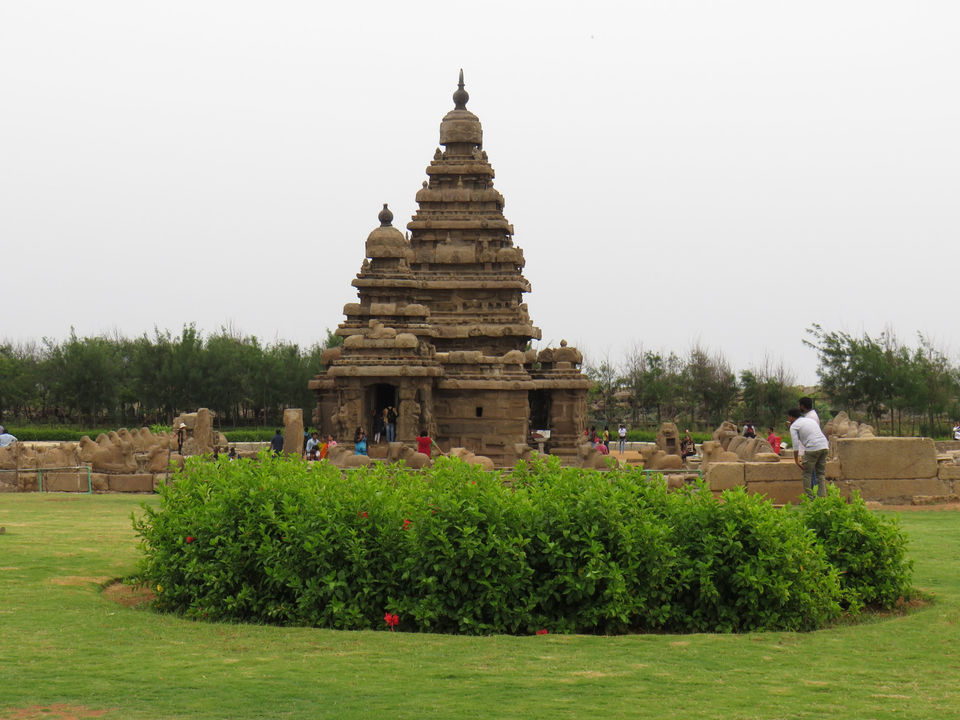 Photo of Mahabalipuram, Tamil Nadu, India by Bidisha Mahanty