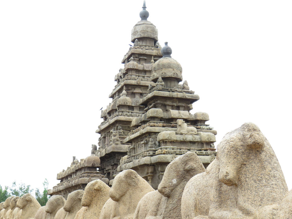 Photo of Mahabalipuram, Tamil Nadu, India by Bidisha Mahanty