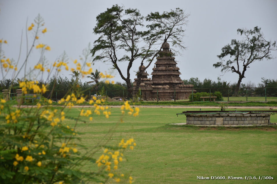 Photo of Friends that travel together, Stay together”...Trip To Puducherry via Mahabalipuram.. by Bidisha Mahanty
