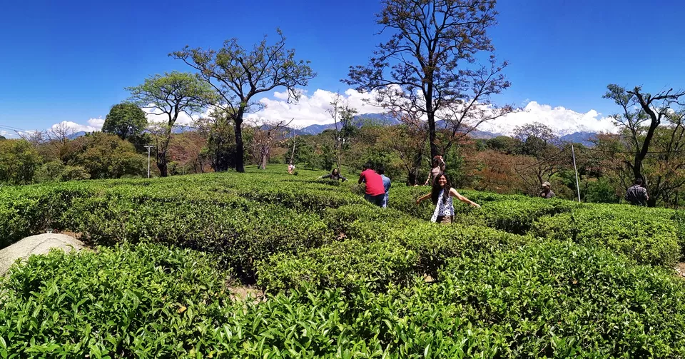 Photo of Dharamshala By Bhavna Saini
