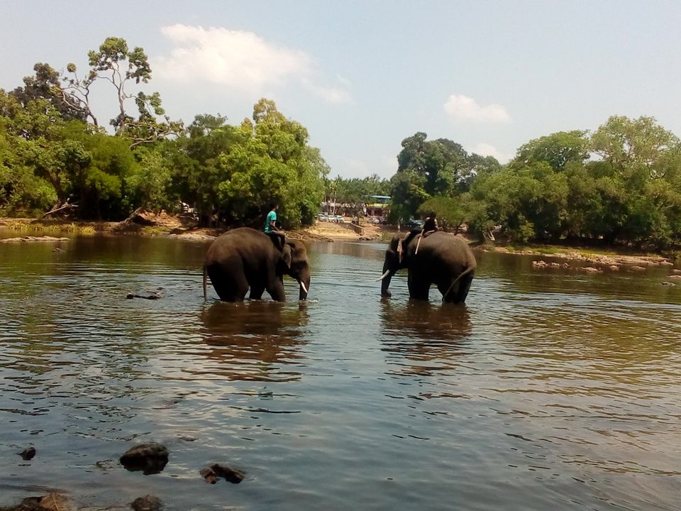 Photo of My one day solo trip to coorg by Tiny_Traveler