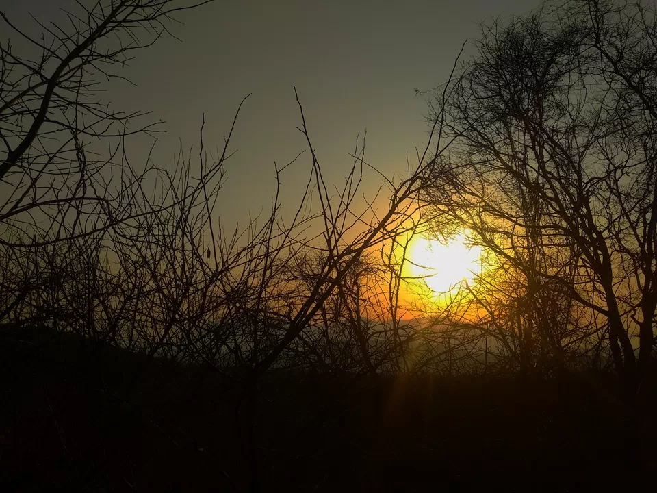 Photo of Unexplored place near vellore: Vainu Bappu Observatory,Jawadu hills by Tiny_Traveler