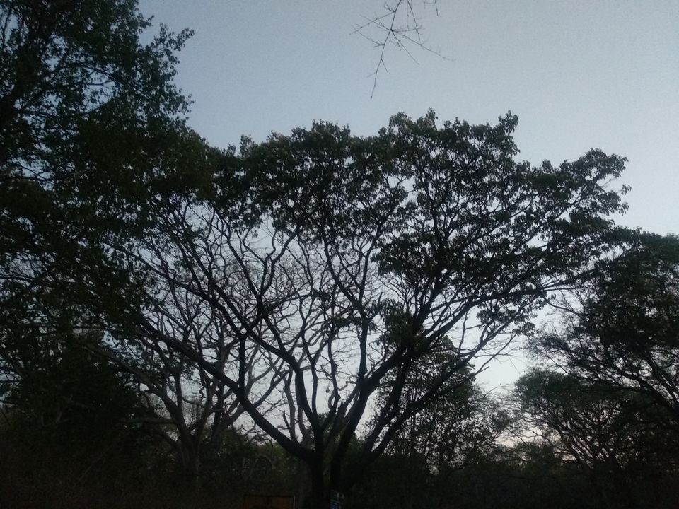 Photo of Unexplored place near vellore: Vainu Bappu Observatory,Jawadu hills by Tiny_Traveler