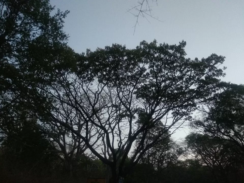Photo of Unexplored place near vellore: Vainu Bappu Observatory,Jawadu hills by Tiny_Traveler