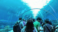Photo of First International Travel Destination (Female Travellers)- SINGAPORE 3/6 by Travelntweet