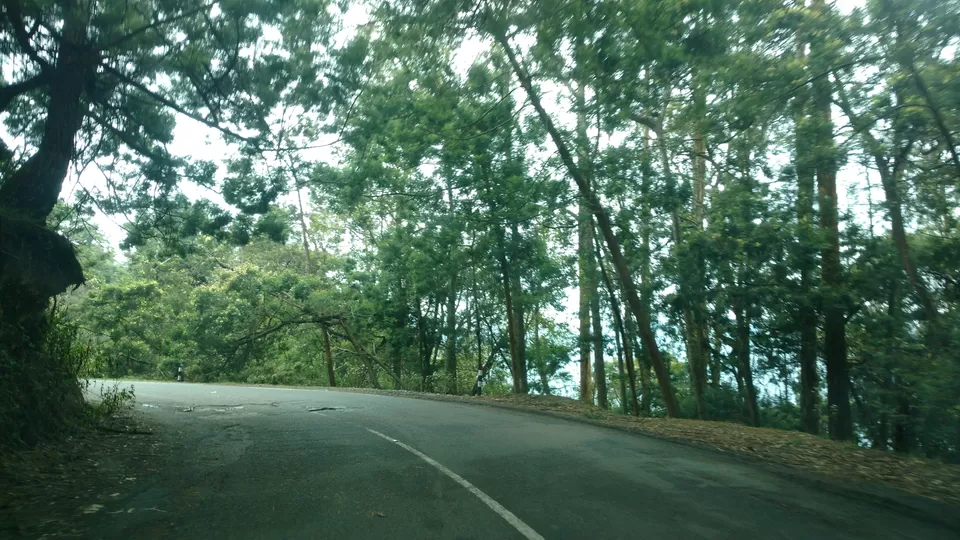 Photo of Just 4 Hour Driving From Madurai, This Hill Station In South India Will Blow Your Mind by Nupur Gupta