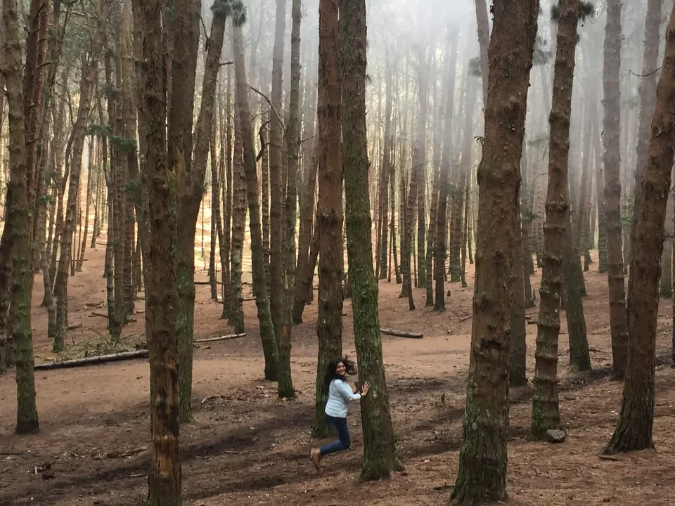 Photo of Just 4 Hour Driving From Madurai, This Hill Station In South India Will Blow Your Mind by Nupur Gupta