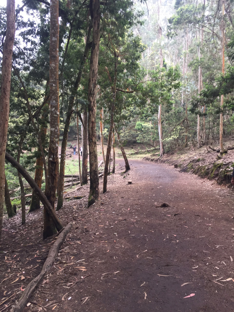 Photo of Just 4 Hour Driving From Madurai, This Hill Station In South India Will Blow Your Mind by Nupur Gupta