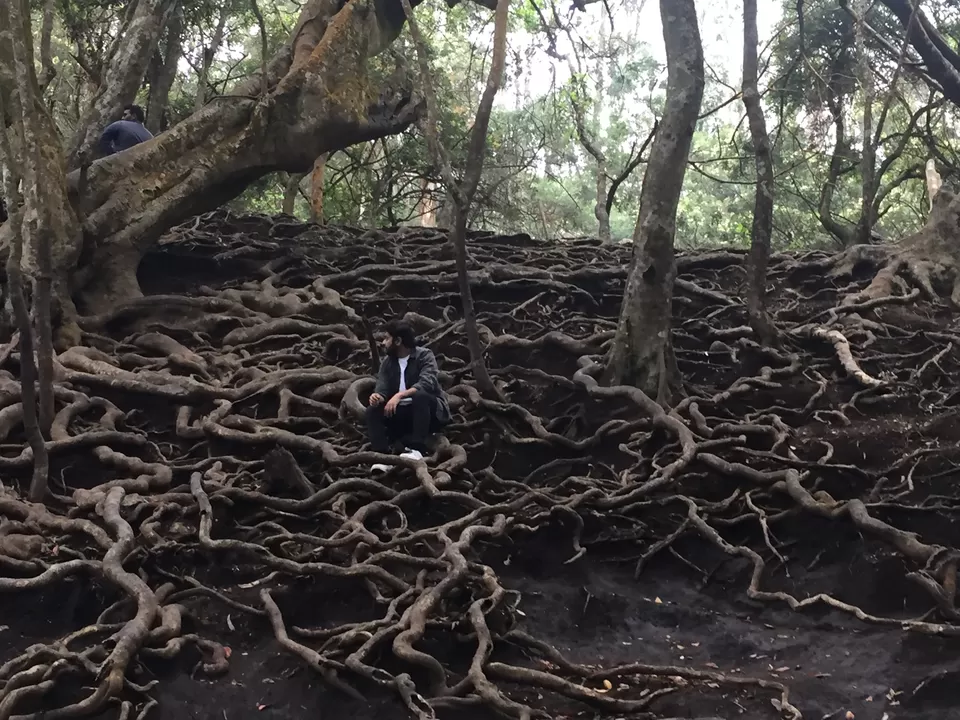 Photo of Just 4 Hour Driving From Madurai, This Hill Station In South India Will Blow Your Mind by Nupur Gupta