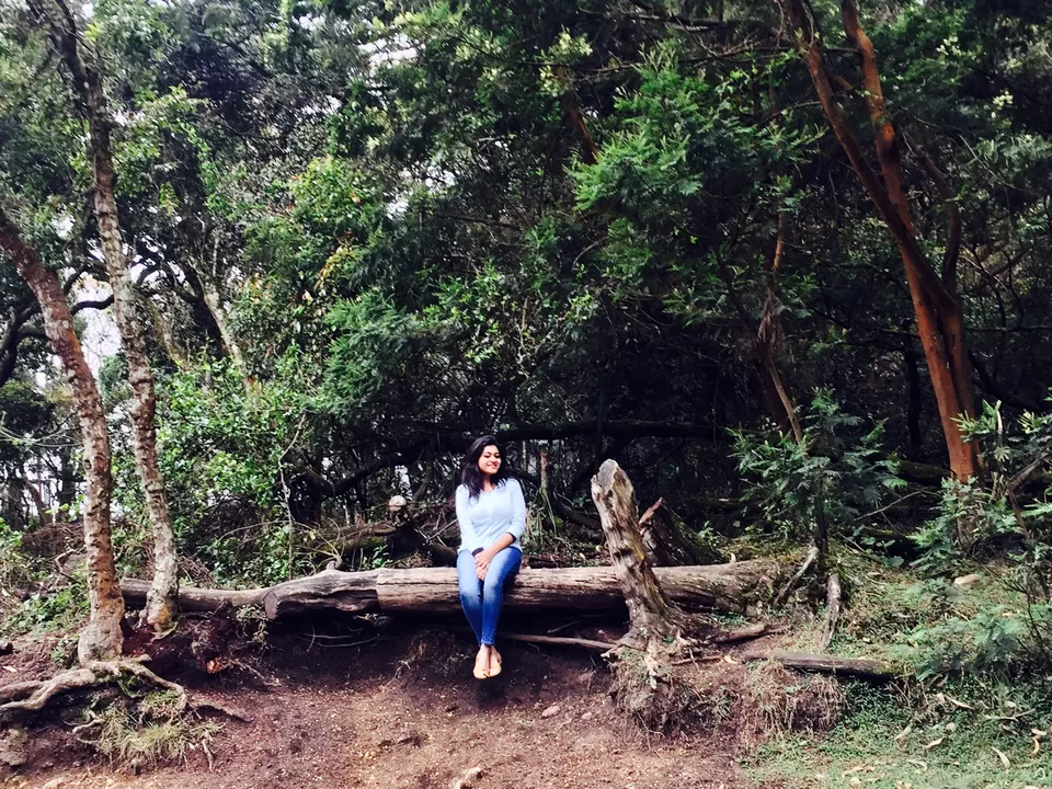 Photo of Just 4 Hour Driving From Madurai, This Hill Station In South India Will Blow Your Mind by Nupur Gupta