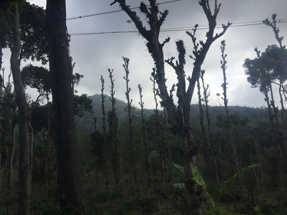 Photo of Just 4 Hour Driving From Madurai, This Hill Station In South India Will Blow Your Mind by Nupur Gupta