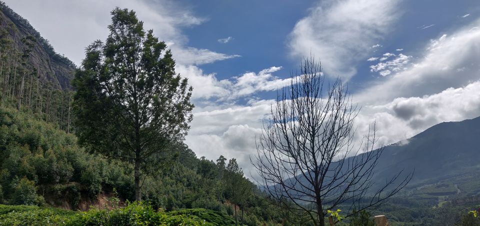 Photo of Top station. Munnar. by Anup Raj