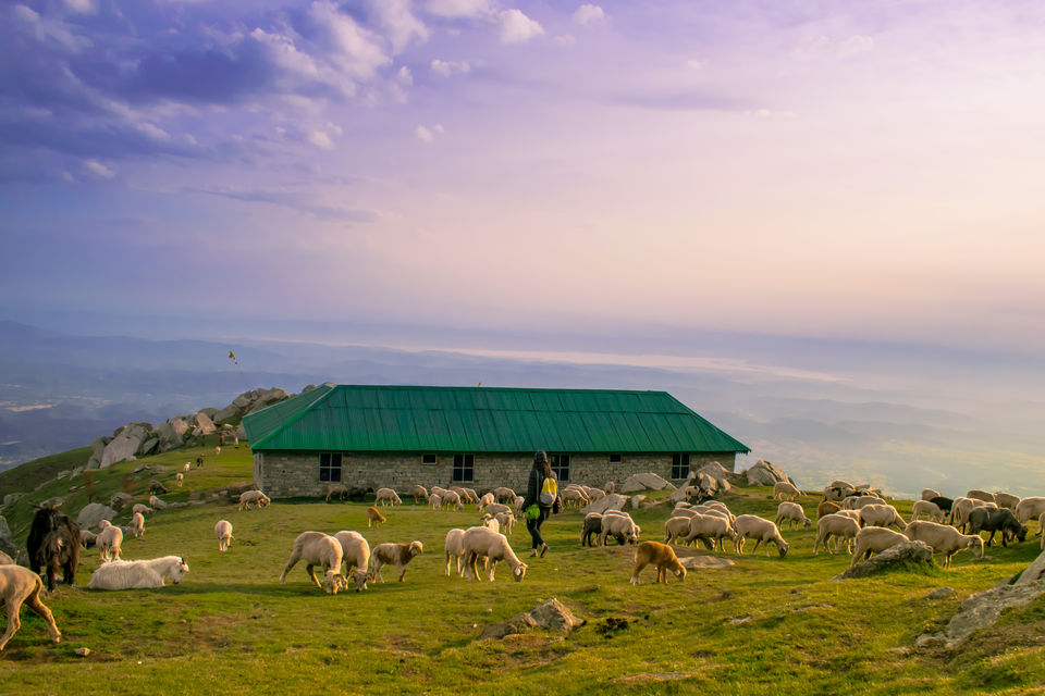 Photo of McLeodGanj - Triund by Harshit Doshi