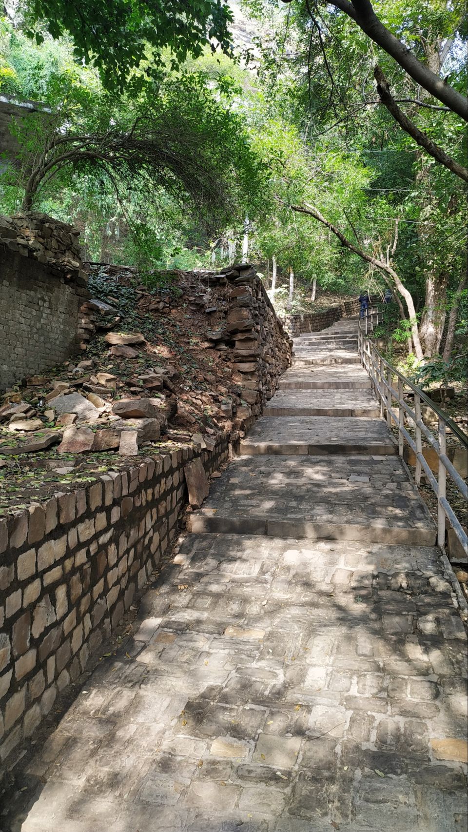 Photo of ग्वालियर : जहां हर पत्थर में इतिहास बसा है। by Garvika d rover couple
