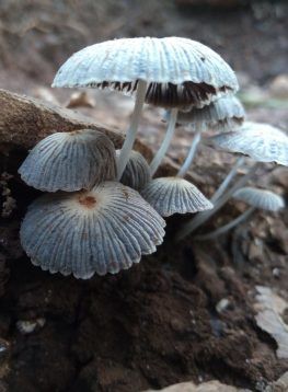 Photo of 17 REASONS WHY YOU SHOULD START TREKKING 14/33 by Prathamesh Patkar