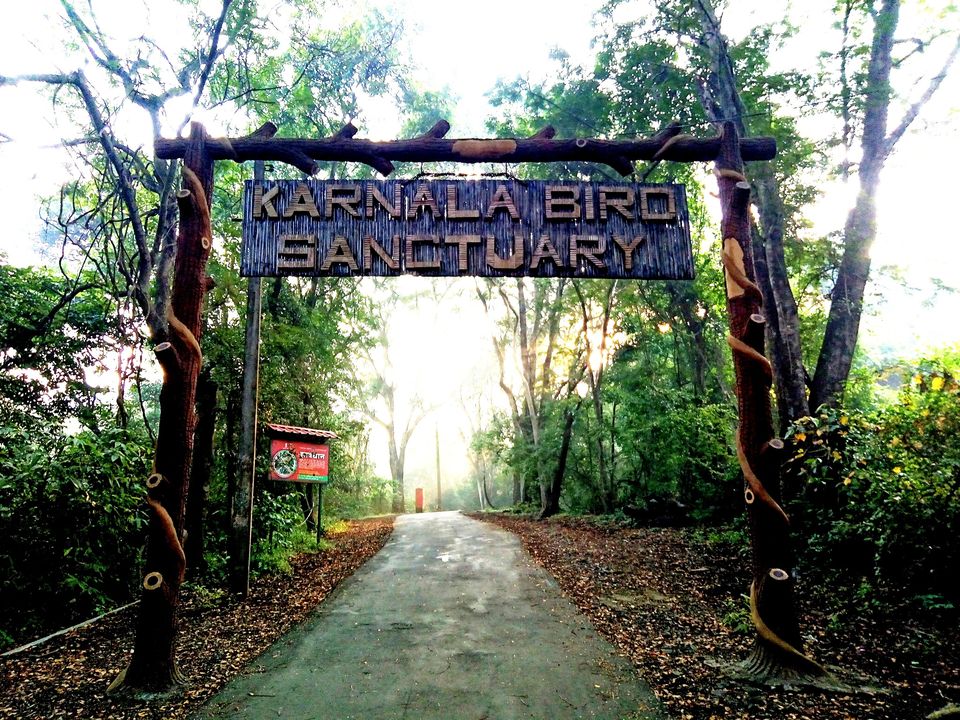 Photo of KARNALA FORT & BIRD SANCTUARY: TREK to THUMB shaped Fort. by Prathamesh Patkar