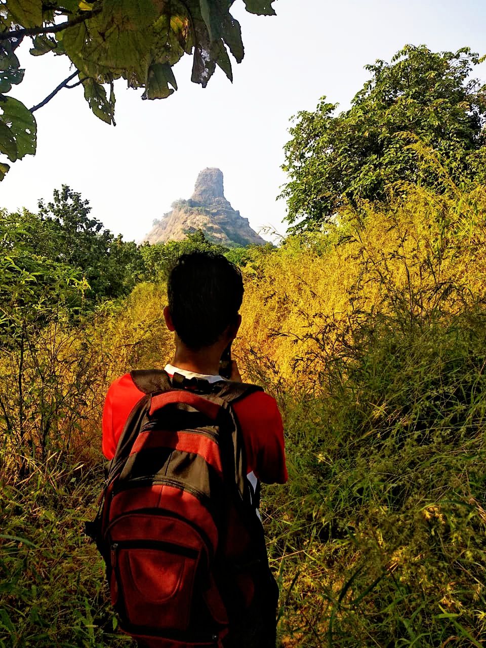 Photo of KARNALA FORT & BIRD SANCTUARY: TREK to THUMB shaped Fort. by Prathamesh Patkar