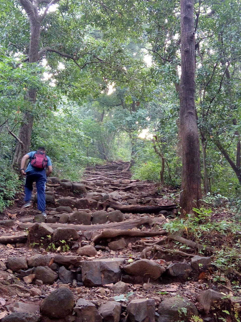 Photo of KARNALA FORT & BIRD SANCTUARY: TREK to THUMB shaped Fort. by Prathamesh Patkar