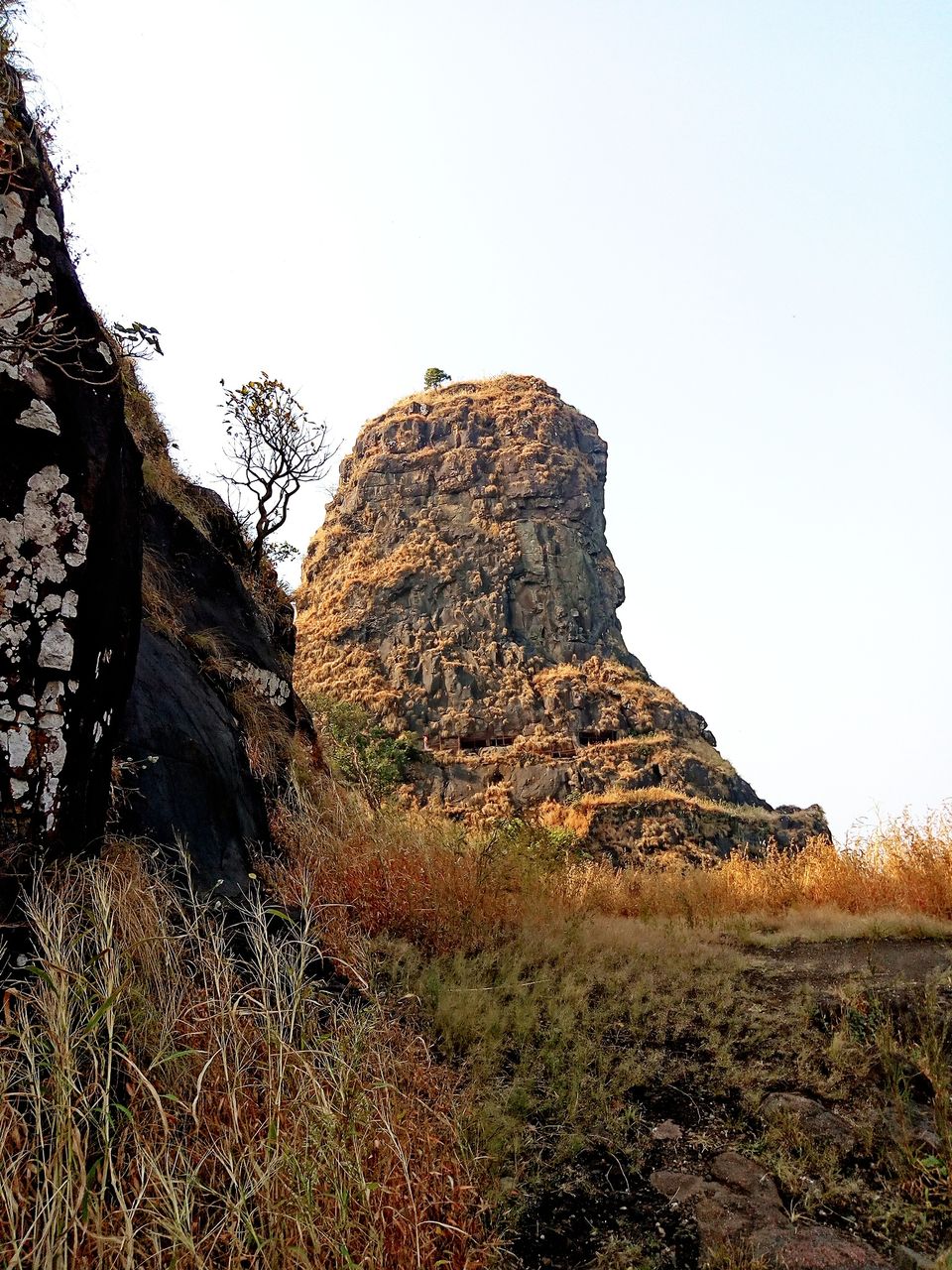 Photo of KARNALA FORT & BIRD SANCTUARY: TREK to THUMB shaped Fort. by Prathamesh Patkar