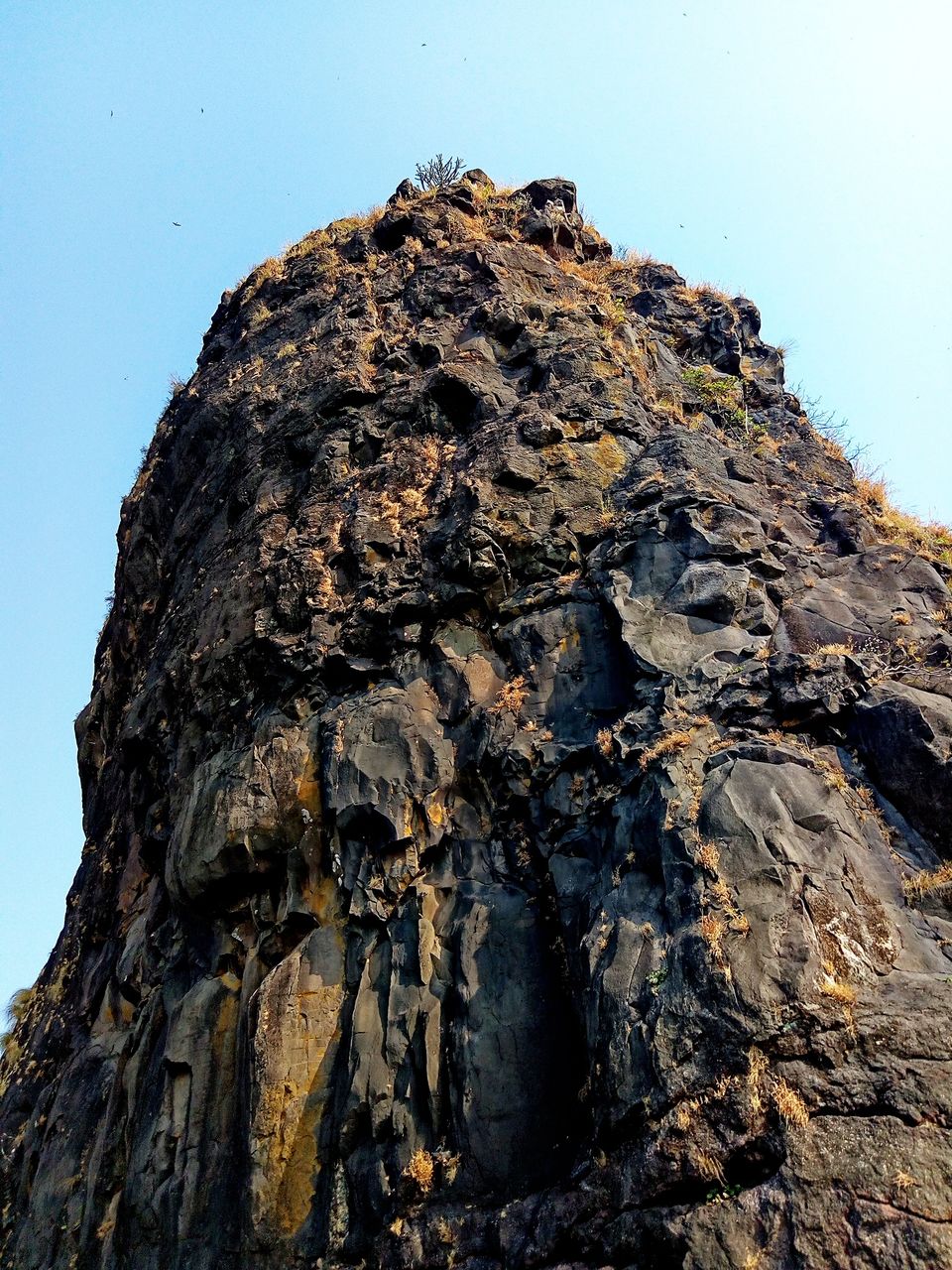 Photo of KARNALA FORT & BIRD SANCTUARY: TREK to THUMB shaped Fort. by Prathamesh Patkar