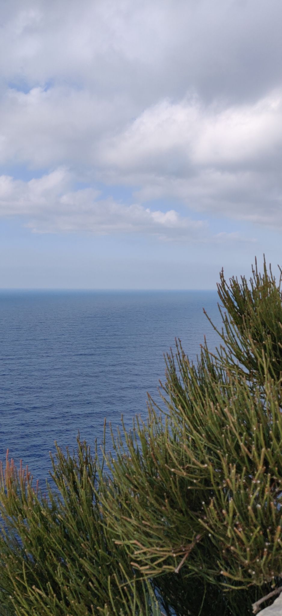 Photo of Majorca, Spain - the perfect weekend getaway by Aditya Malik